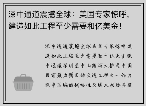 深中通道震撼全球：美国专家惊呼，建造如此工程至少需要和亿美金！