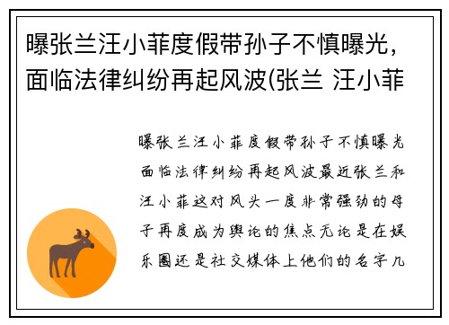 曝张兰汪小菲度假带孙子不慎曝光，面临法律纠纷再起风波(张兰 汪小菲)