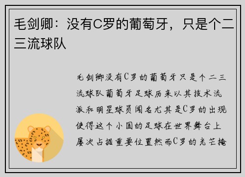 毛剑卿：没有C罗的葡萄牙，只是个二三流球队